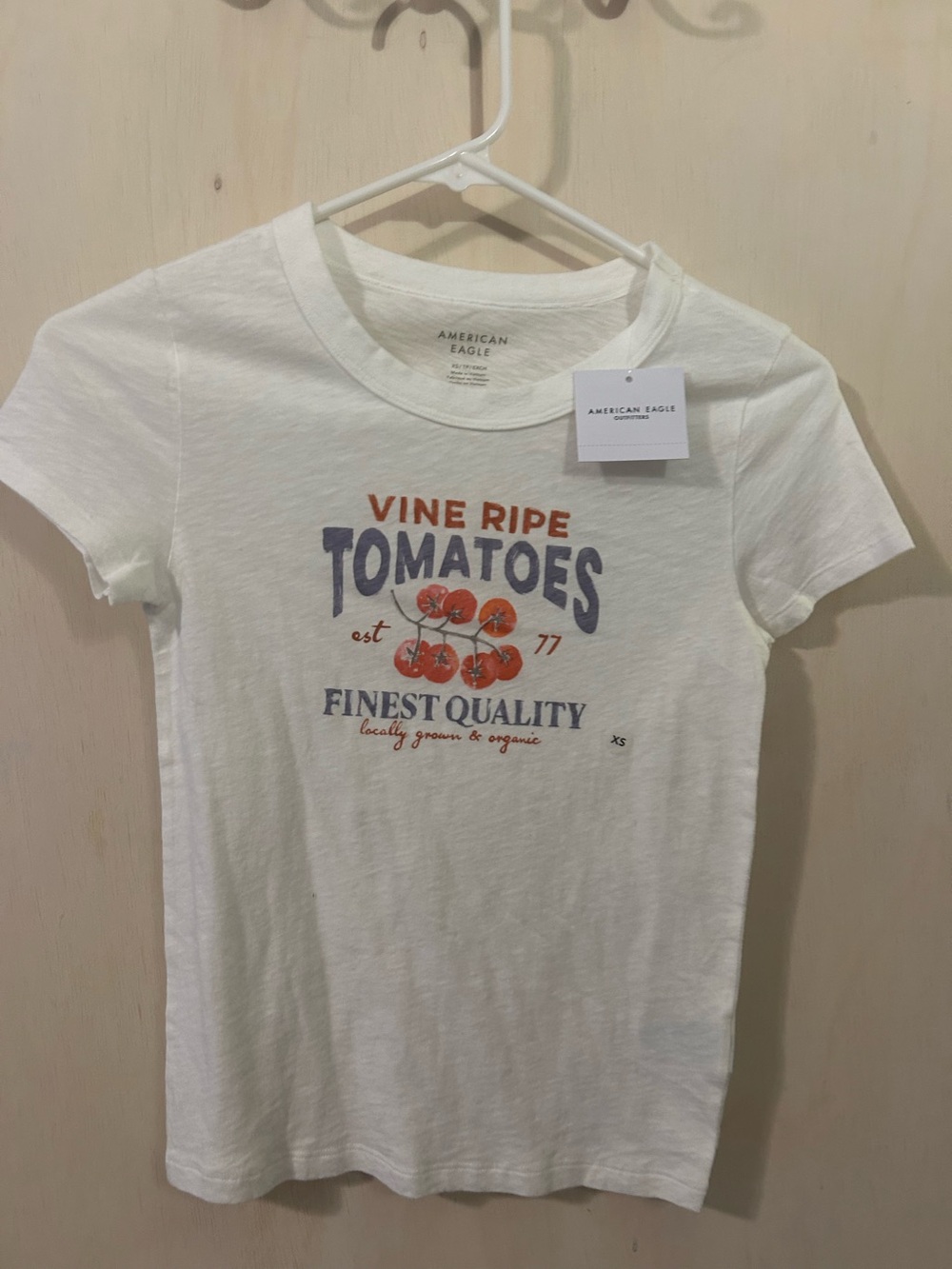 American Eagle Outfitters White Tomato Graphic Short Sleeve Tee